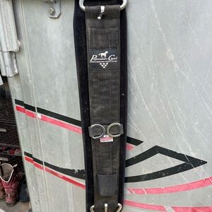 Professionals Choice Cinch